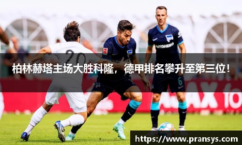 威廉希尔官方网站